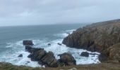 Trail Walking Beuzec-Cap-Sizun - Beuzec falaise beuzec - Photo 16