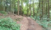 Trail Walking Liège - tourniquet à Colonster  - Photo 6