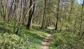 Trail Walking Dampierre-Saint-Nicolas - Dampierre st Nicolas bois de Pimont freulleville  - Photo 5