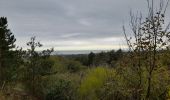 Randonnée Marche Camiers - Baie de Canches et retour par la mer - Photo 8