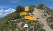 Trail Walking Beaufort - Areches le mont des accrays - Photo 5