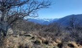 Tour Wandern Antichan - sommet d'Herbe Rouge en boucle depuis Antichan  - Photo 5