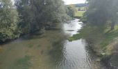 Tocht Mountainbike Chablis - Tacot de l'yonne le long du Serein - Photo 1