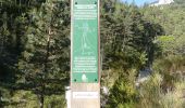 Trail Walking Glandage - Col de la Péyère (Grimone) - Photo 5