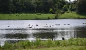 Tour Wandern Eijsden-Margraten - 20240523 - Balade ornithologique Oost Maarland - 2.2 Km - Photo 19