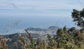 Excursión Senderismo Cavalaire-sur-Mer - Cavalaire - oppidum de montjean crête des pradels - Photo 15