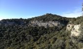 Trail Walking Saint-Restitut - St Restitut - Château du Barry - village troglodyte - Photo 11