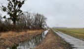 Tour Zu Fuß Blankenfelde-Mahlow - Rundwanderweg Schwanensee - Photo 2