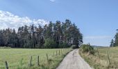 Trail Walking Saint-Pal-de-Mons - chapelle ste julien-7 km - Photo 6