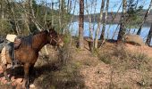 Trail Horseback riding Badonviller - Tour du lac de pierre percée  - Photo 9