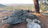 Trail Walking Noisy-sur-École - Canche aux Merciers 01-03-23 - Photo 2