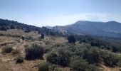 Percorso Marcia Banyuls-sur-Mer - puig de sallfort depuis coll de vallauria - Photo 6