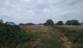Tour Wandern Vouvant - Vouvant  - Photo 2