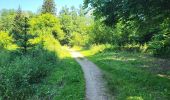 Trail Walking Arlon - Arlon Mesa 250624 - Photo 3