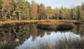 Excursión A pie Heerde - Dellen wandeling - Photo 8