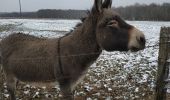 Randonnée Marche Maraye-en-Othe - Les Boulins - Photo 7