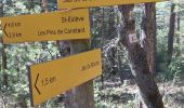 Tocht Stappen Bédoin - Sur les traces du reboisement du Ventoux 1860 - Photo 7