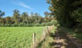 Percorso Marcia Chambray-lès-Tours - Chambray-lès-Tours - Sentier au travers des landes avec variantes - GR46 - 26.2km 170m 5h35 (1h) - 2024 10 16 - Photo 7