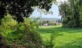 Trail Walking Chauffour-lès-Étréchy - Chauffour-lès-Etréchy - Coteau des Verts Galants - Photo 18