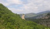 Trail Walking Val-Buëch-Méouge - ANTONAVES,  LES GORGES DE LA MEOUGE ,  ROCHER DU CHATEAU o s - Photo 11