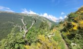 Tour Wandern Rabou - rando rabou 27,06,2024 - Photo 18