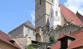 Percorso A piedi Gemeinde Weißenkirchen in der Wachau - Welterbesteig Wachau Etappe 3 - Photo 7