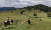 Trail Horseback riding Orbey - 2020-06-28 WE Orbey Petit Hohnack Glasborn - Photo 1