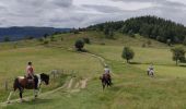 Tour Reiten Urbeis - 2020-06-28 WE Orbey Petit Hohnack Glasborn - Photo 1