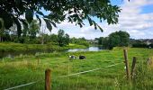 Tour Wandern Florenville - Balade à Chassepierre - Photo 12