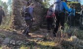 Trail Walking Collobrières - collobbrillere plateau lambert - Photo 3