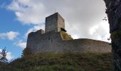 Tocht Stappen Ammerschwihr - Trois-Epis - monument du Galtz - château du Wineck - clocher vrillé de Niedermorschwihr - Photo 10