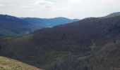 Trail Walking Campan - campan G3 Courtaou empeye - Photo 3