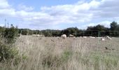 Tour Wandern La Caunette - La Caunette - 17 - Photo 1