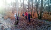 Trail Walking Plaisir - Forêt de Ste Appoline - Photo 7