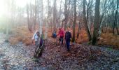 Percorso Marcia Plaisir - Forêt de Ste Appoline - Photo 7
