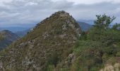 Excursión Senderismo Chaudon-Norante - Le poil valbonnette - Photo 2