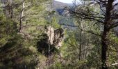 Trail Walking Toulon - Faron versant Nord  - Photo 14