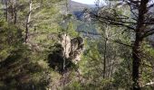 Tour Wandern Toulon - Faron versant Nord  - Photo 14