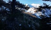 Trail Snowshoes Crots - Cirque de Morgon, Pic Martin Jean - Photo 9