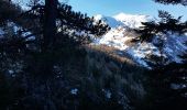 Excursión Raquetas de nieve Crots - Cirque de Morgon, Pic Martin Jean - Photo 9