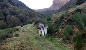 Tour Wandern Borce - Boucle du lac d'Arlet  - Photo 1