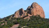 Trail Walking Saint-Raphaël - Pk Col de Belle Barbe - Ravin Mal Infernet - Pic du Cap Roux - Grotte Saint Honorat - Ravin des Lentisques - Photo 10