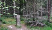 Trail On foot Nagold - 7 Berge Weg - Photo 8