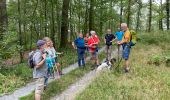 Randonnée Marche Ciney - Les Basses - Photo 14