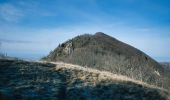 Tour Wandern Saou - Forêt de Saoû - Les Pomerolles - Photo 2