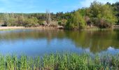 Tour Wandern Monieux - gorge de la Nesque via GR9 - Photo 2