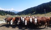 Excursión Senderismo Viuz-la-Chiésaz - Semnoz, mon tour des lacs et des crêts  - Photo 5