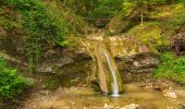 Randonnée A pied Unknown - Gondelbahn - Wasserfallen - Photo 5