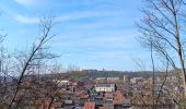 Randonnée Marche Liège - tour au sud de Liège - Photo 11