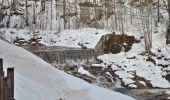 Tour Zu Fuß Ramsau am Dachstein - Rittisberg Rundweg 